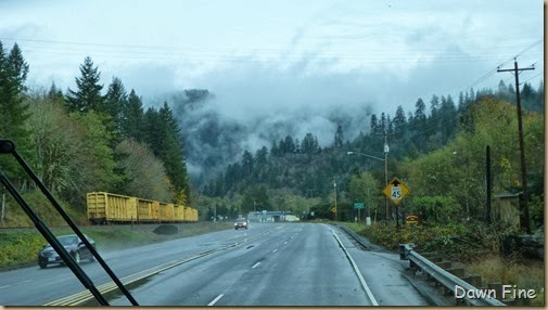 mushrooms-and-drive-to-eugene_077_th