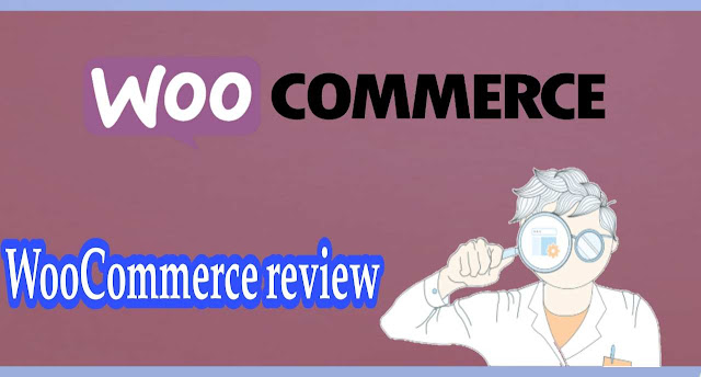 woocommerce review - can you woo your customers with this plugin?