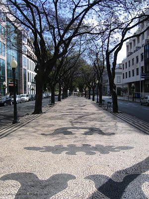 AVENIDA ARRIAGA - FUNCHAL - ILHA DA MADEIRA