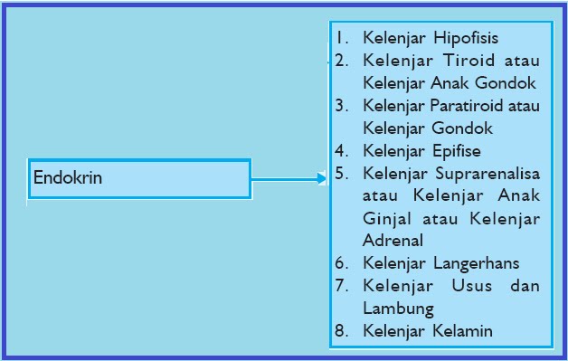 BIOLOGI GONZAGA ENDOKRIN 