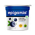 Epigamia Blueberry Flavoured Greek Yogurt 