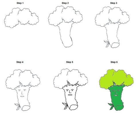Small cauliflower drawing