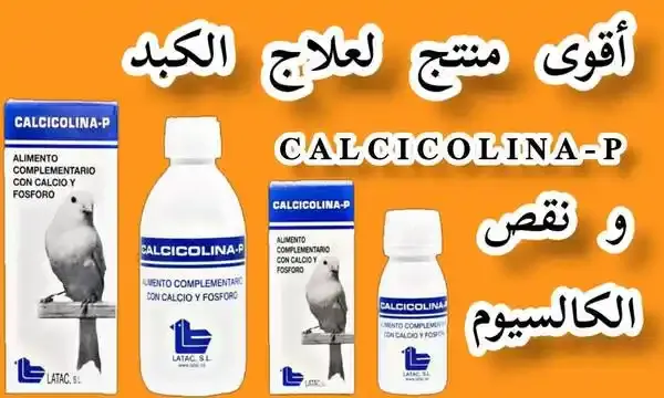 فوائد calcicolina-p لعلاج الكبد و نقص الكالسيوم عند الطيور
