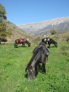 Albania, ratsastusmatka, Horsexplore