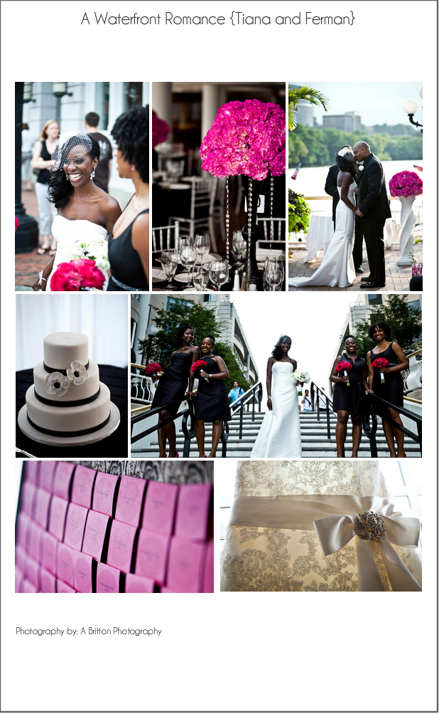 Check out this fun hot pink and black inspiration board I put together using
