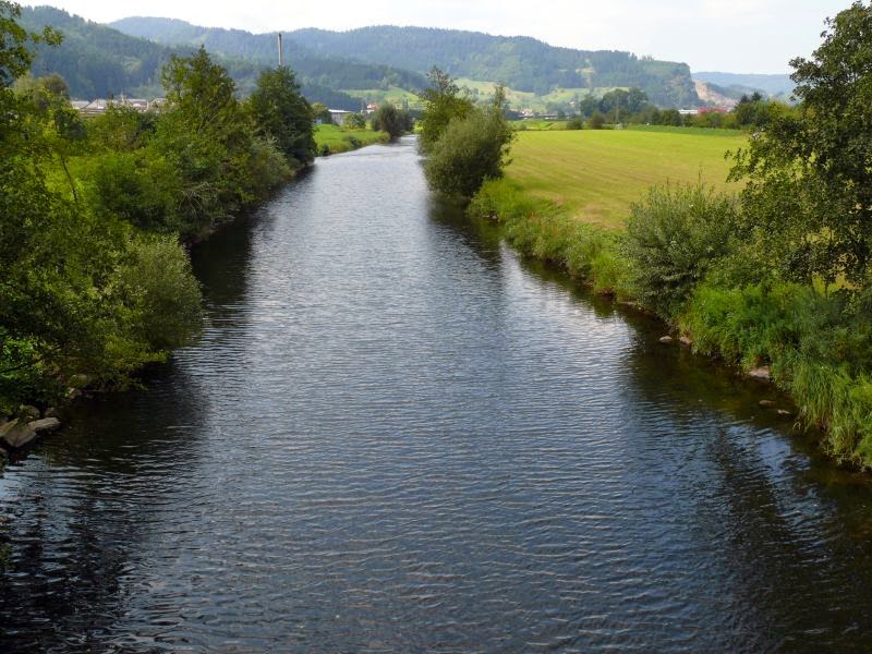 black forest river germany