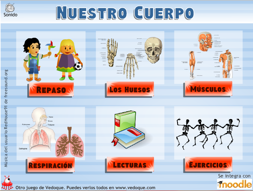 http://www.vedoque.com/juegos/el-cuerpo.swf