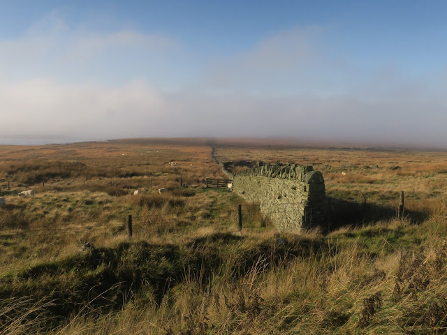 Wall goes directly from the foreground, across the moor, into the distance. Warley Moor. 13th November 2022