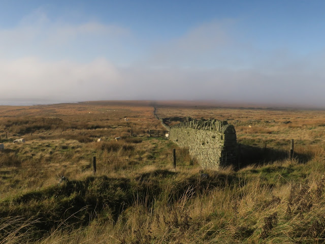 Wall goes directly from the foreground, across the moor, into the distance. Warley Moor. 13th November 2022
