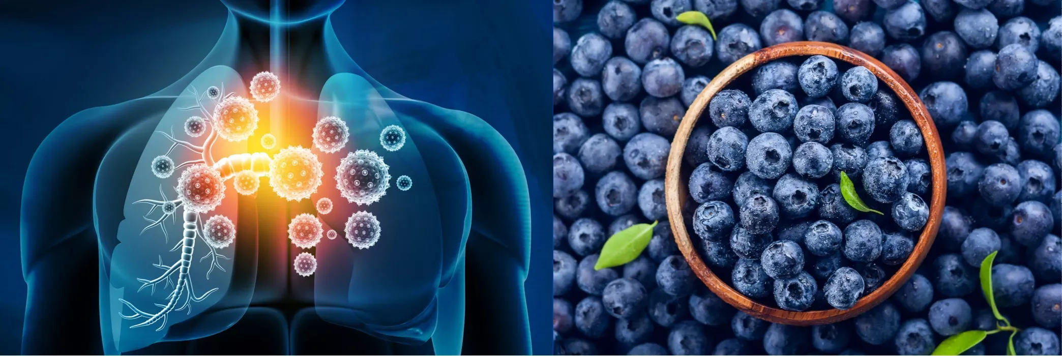 The Best Foods That Boost the Immune System