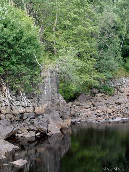 _DSC0754ns