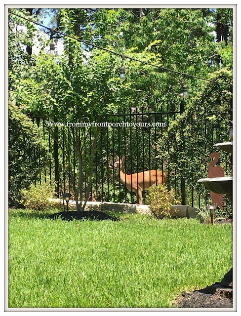Suburban Farmhouse Backyard-Wild Life-Deer- Country Garden- From My Front Porch To Yours