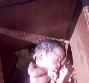Graphic Photos: Newborn baby found dead inside carton