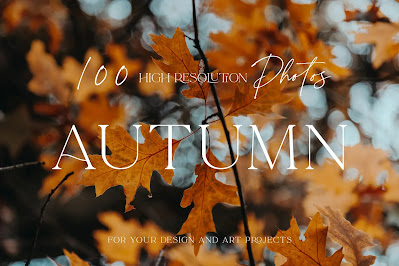 100+ New Hi-Res Autumn Photos