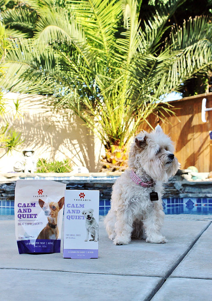 #GrabTheLeash with this simple and natural solution to ease anxiety in your dog. #AD