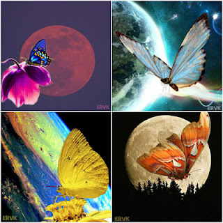 LAMINAS EARTH AND BUTTERFLY COLLAGE