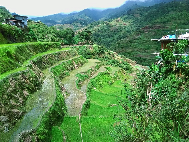 Die Reisterrassen von Banaue