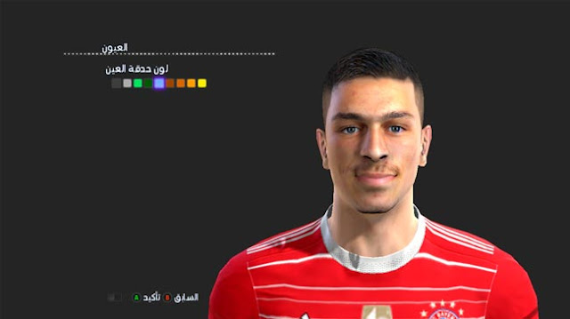 Arijon Ibrahimovic Face For PES 2013