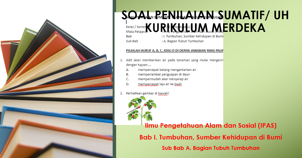 Soal Penilaian Sumatif/ Ulangan Harian IPAS Kelas 4 Bab 1 "Bagian Tubuh