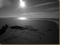 newport trip 2011 069