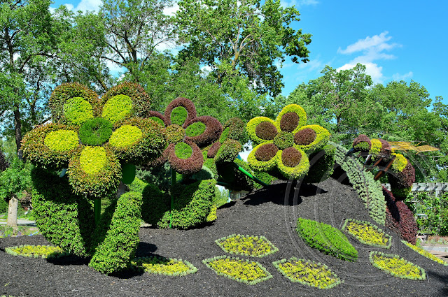 Gallery images of the Botanical Garden in Canada 