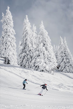 أفضل أماكن التزلج في سويسرا