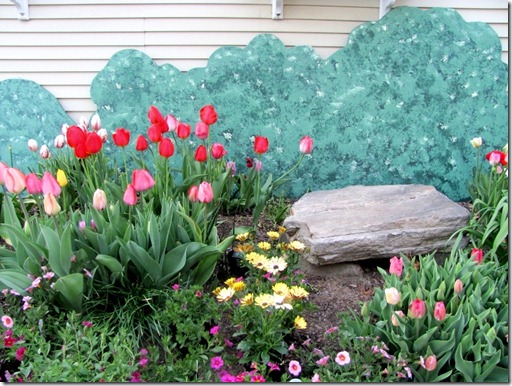 red tulips