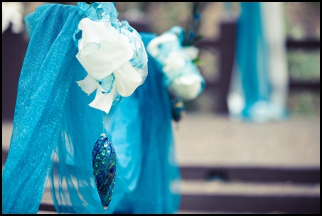 BrianChloeWedding-Color-122