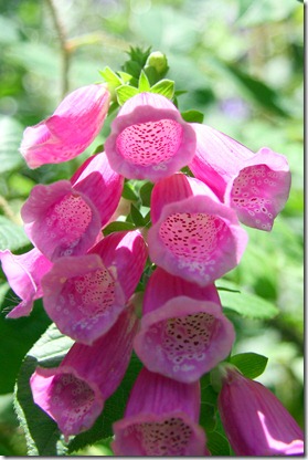 collana di stoffa fucsia-4