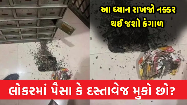 લોકરમાં પૈસા કે દસ્તાવેજ મુકો છો? થઈ જશો કંગાળ