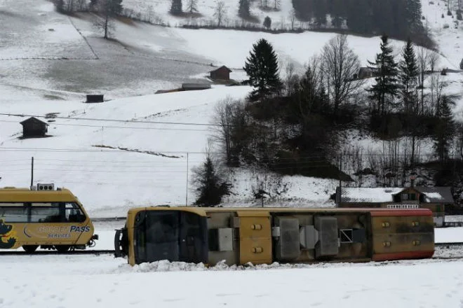 Storm “Eleanor” ruined tens of thousands of trees in Switzerland