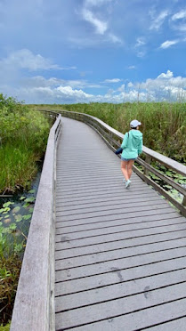 boardwalk trails in everglades