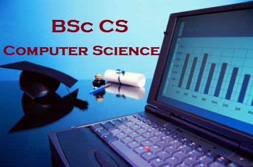 Career After B.Sc Computer Science