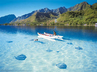 Tempat Yang Sangat Cantik Untuk Berenang