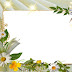 Beautiful Flower Frame wallpaper 1080p (500 x 357 )