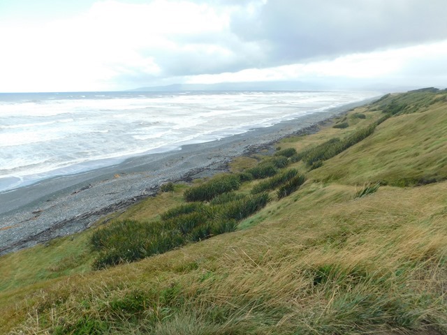 DSCN4238