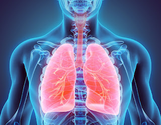 The Lung Cancer Myths and Facts