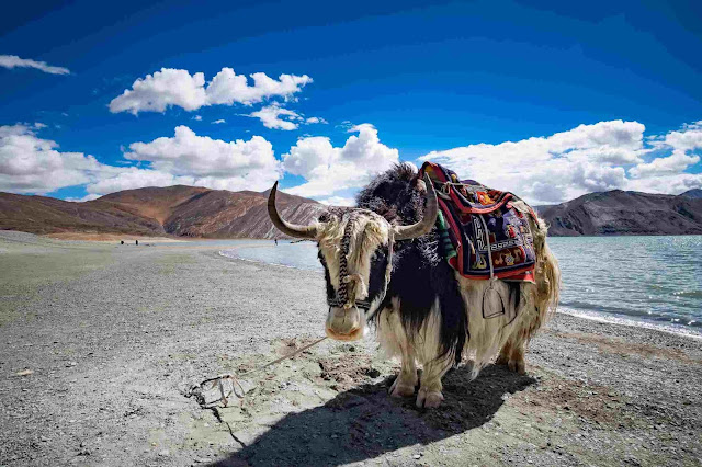 Leh Ladakh