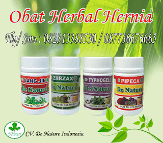 Obat Hernia Herbal Alami Ampuh Efektif Sembuh Paling Cepat