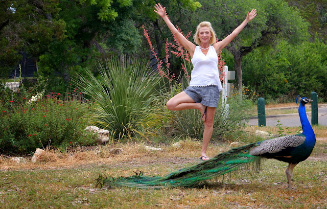 MAYFIELD PARK, AUSTIN TEXAS,  TREE POSE, PECOCK 