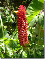 P5270058