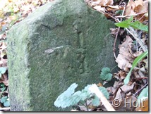 DSCF0660
