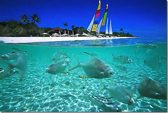 new beach 1