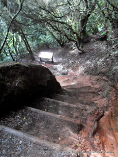 Anaga Sendero de los Sentidos