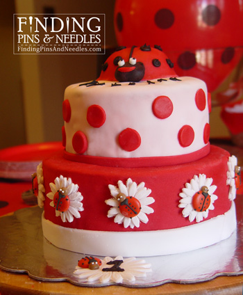 Ladybug Birthday Cakes on Ladybug Cake