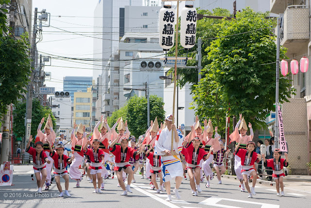 飛鳥連、マロニエ祭りの福井町通り流し踊り、スタート時の写真