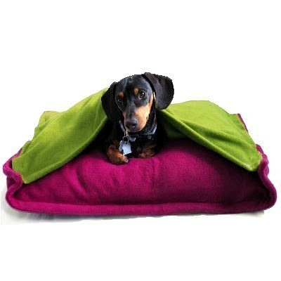 Beds on Vet Bills Super Cute Eco Friendly Pet Bed In Pink And Green Of Course