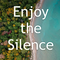 Descarga addon enjoy the silence