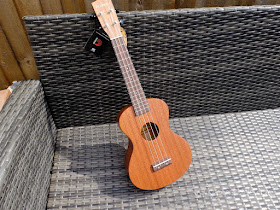 Ashbury AU50 Concert Ukulele