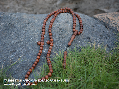 Tasbih Stigi Laut Asli